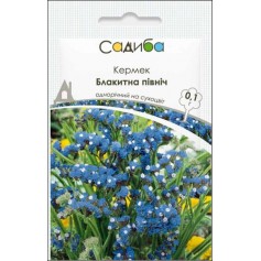 Кермек Блакитна Північ /0,1г/