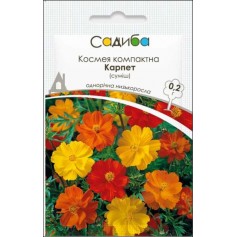 Космея компактна Карпет суміш /0,2г/