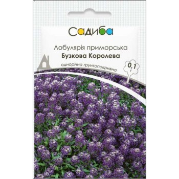 Лобулярія приморська Бузкова Королева /0,1г/