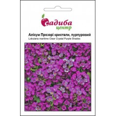 Алісум Прозорі кристали пурпуровий /50гранул/