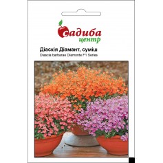 Діаскія Діамант суміш /10шт/