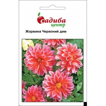 Жоржина Дим червоний /0,1г/ Жоржина Дим червоний /0,1г/