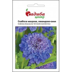 Скабіоза махрова лавандово-синя /0,2г/