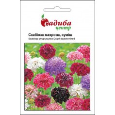 Скабіоза махрова суміш /0,3г/