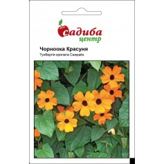 Тунбергія Чорноока Красуня /0,1г/