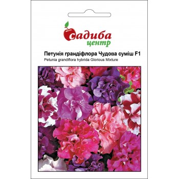 Петунія Чудова суміш F1 /10гранул/