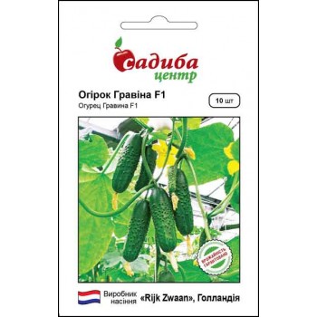 Огірок Гравіна F1 /10шт/ Огірок Гравіна F1 /10шт/