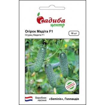 Огірок Мадіта F1 /10шт/ Огірок Мадіта F1 /10шт/