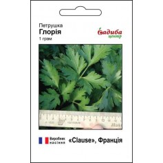 Петрушка Глорія /1г/