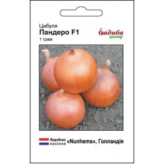 Цибуля Пандеро F1 /1г/